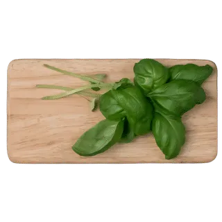 Basil